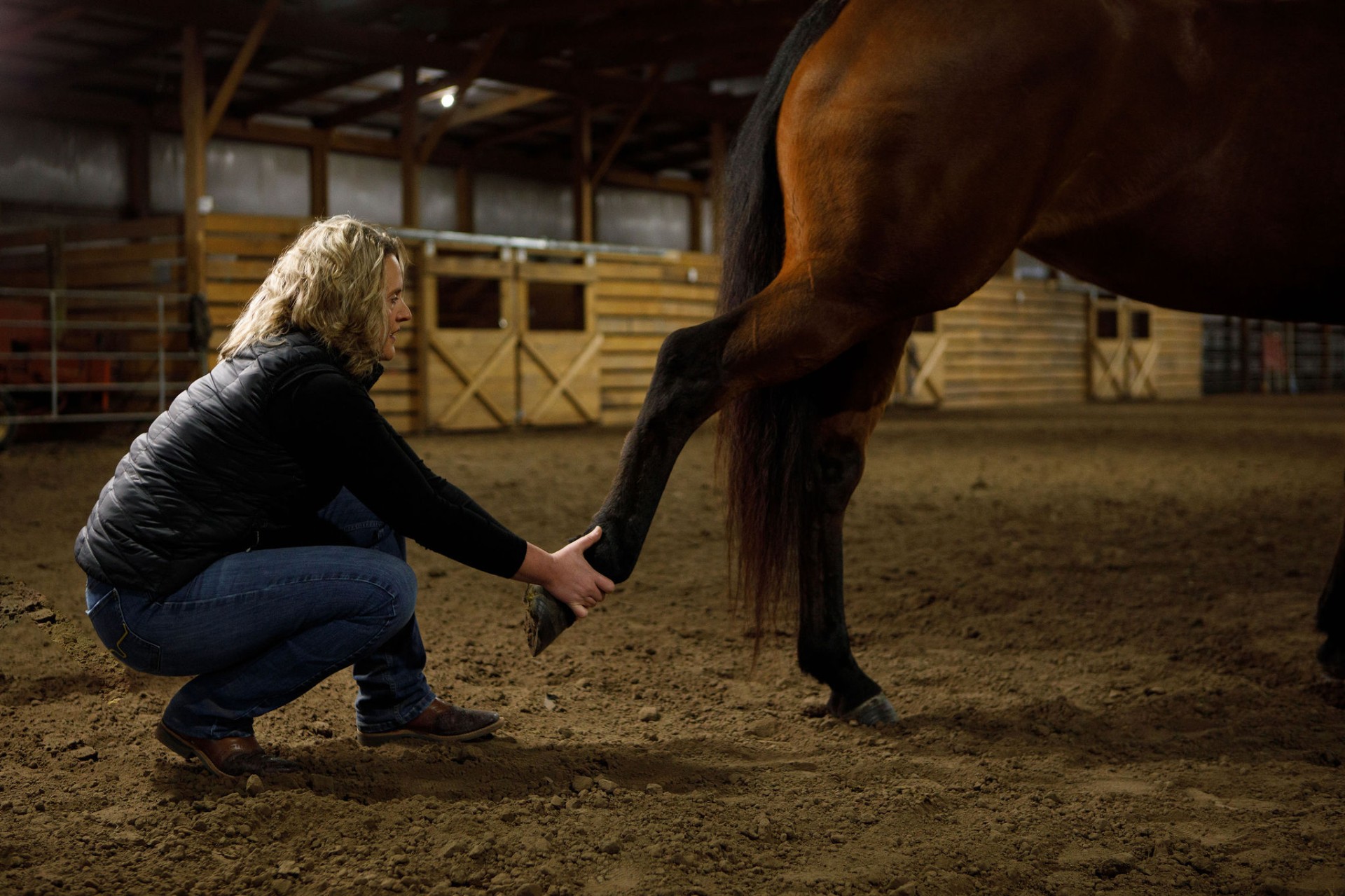 Horse stretching and equine therapy
